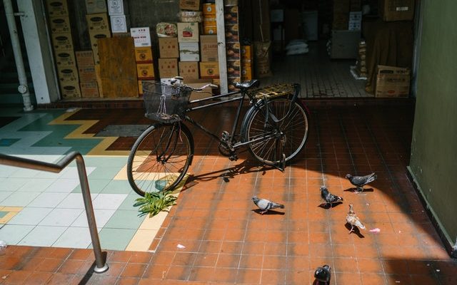 vélo posé dans la cour
